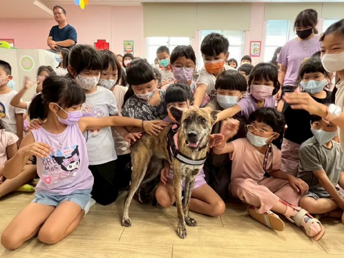 屏縣府推動保生命教育，陪伴犬貓走入校園
