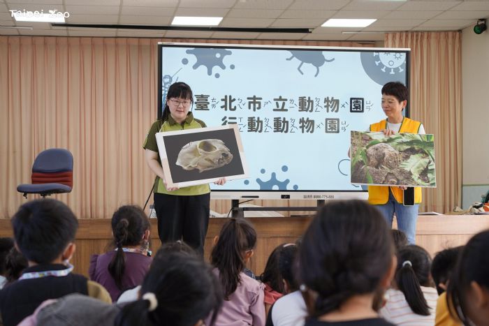 動物園開到社區來！臺北市立動物園「行動動物園」首創老幼共學，讓偏鄉笑聲滿滿