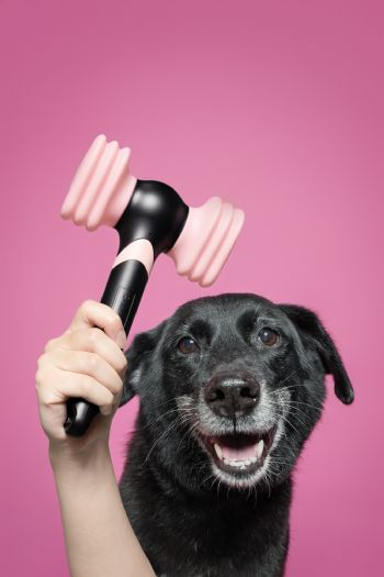 BLIИK集合！準備好你的應援棒，一起閃亮登場！