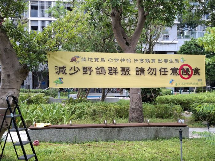 臺北市動物保護處加強野鴿防制，60處熱點調查，宣導不餵食並提供誘捕設備