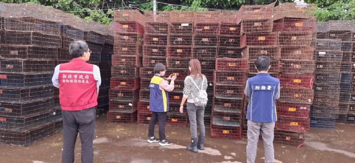 寒流來襲，防疫升級，新北嚴防禽流感跨境風險，守住食安第一線