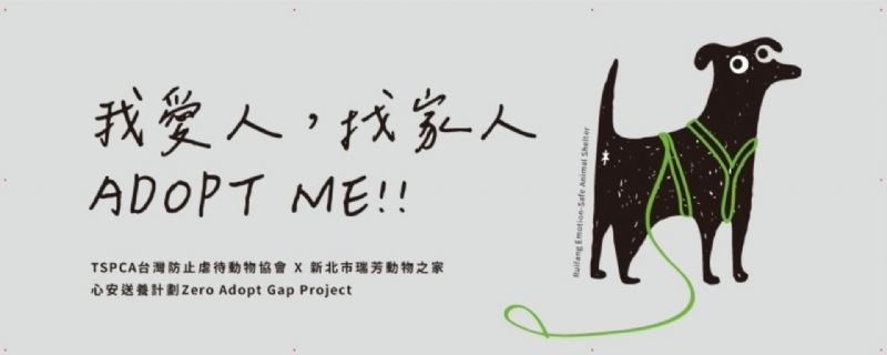 新北認養活動暖心登場！毛孩走進生活日常，在IKEA遇見屬於自己的家