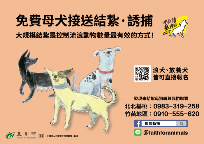 桃園免費母犬絕育協助開跑，一起守護米克斯，也讓牠們擁有更安穩的生活