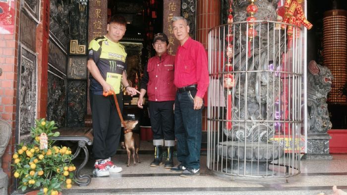 寒流中誤闖廟埕避寒，萬里山羌暖心獲救後平安重返山林