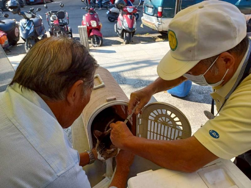 守護毛孩健康不鬆懈！臺中市5、6月啟動17場狂犬病疫苗與晶片巡迴注射服務