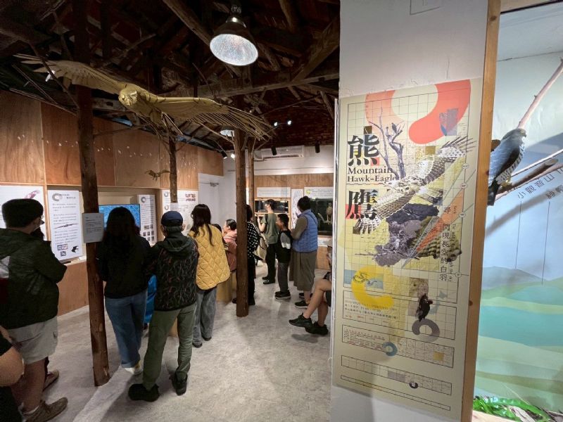 草山猛禽中心推出「熊鷹－尋閃現長空的白羽」特展，揭開臺灣天空守護者的神秘身影