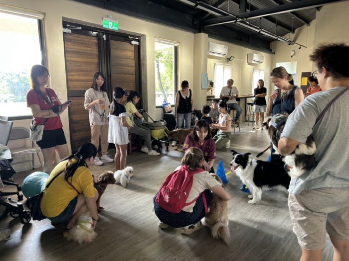 桃園動保教育講座熱鬧登場｜狗狗體適能×紓壓按摩帶來毛孩新活力