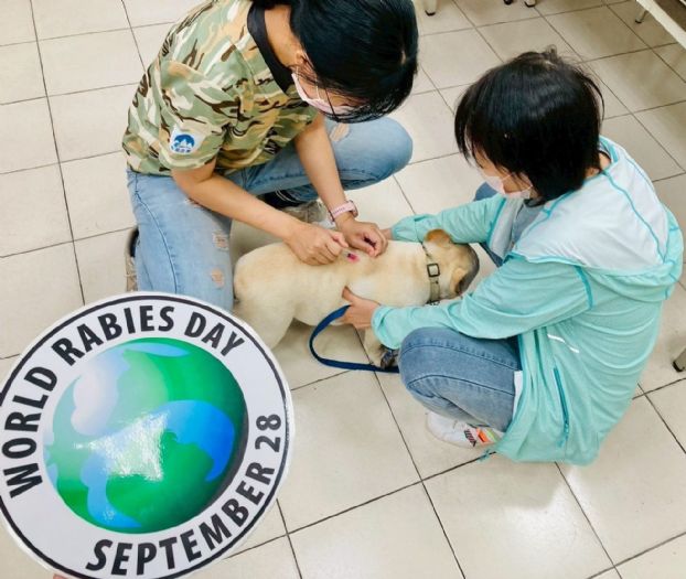 免費狂犬病疫苗巡迴 6/18 開跑，北市44場活動守護毛孩健康一夏