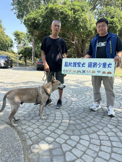 守護毛孩的幸福日常：飼主責任溫馨提醒與友善稽查公告