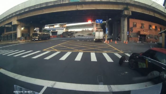 三重路口犬隻受傷事件，新北動保與警方迅速守護生命