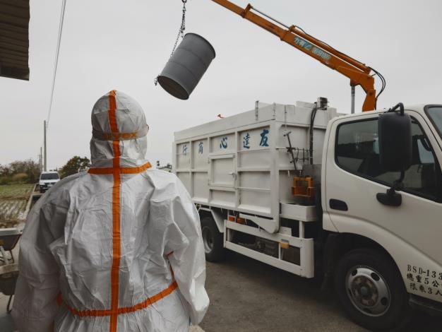 守住禽場安全線：動保處即時應變，全力防堵高病原性禽流感擴散