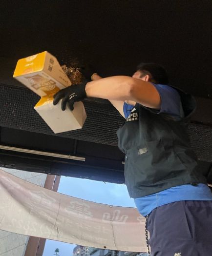 鳥兒就在城市裡，北市動保提醒守護幼鳥「三不原則」