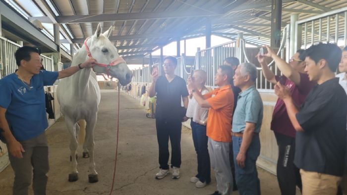 新北推動大動物獸醫培訓再升級，馬病臨床講座傳承專業、守護動物健康