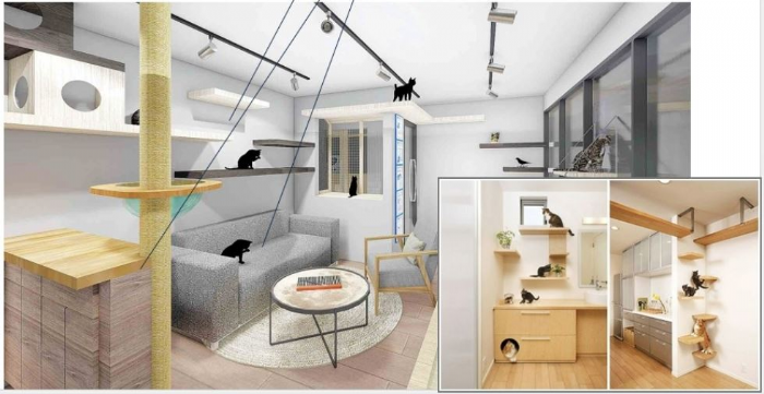 從守護生命到守護城市——新北「動保五安」讓關懷成為日常風景