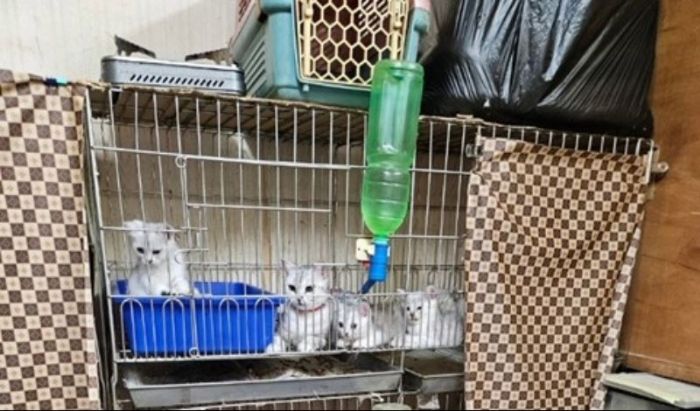 守護毛孩幸福的每一步！新北市特寵業年度查核暖心揭曉