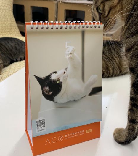 把溫暖帶回家：2026 可愛貓狗桌曆，等你一起翻開幸福篇章