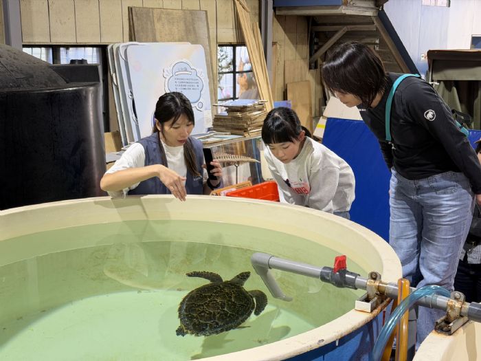 聽見海洋的呼吸，一起守護藍色生命——新北「鯨豚海龜保育教育分享會」，把感動化為行動