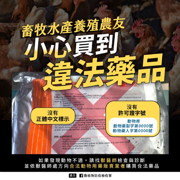苗栗縣府加強稽查！觀賞魚用藥須領許可證，確保水族用藥安全與產業健全發展