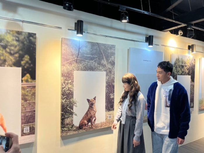 新北用AI幫毛孩找家！「AI寵物認養媒合系統」上線，配對理想毛寶貝更快、更準、更暖心