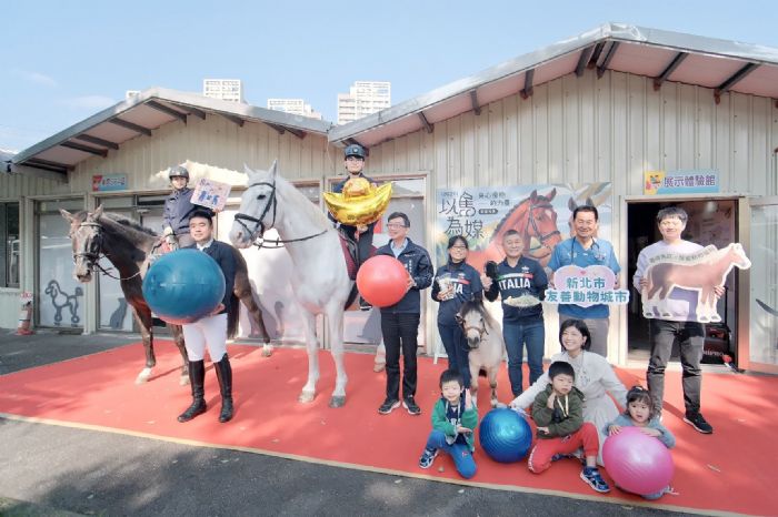 馬年暖心登場！新北「以馬為媒」特展開展，感受療癒與生命教育的力量