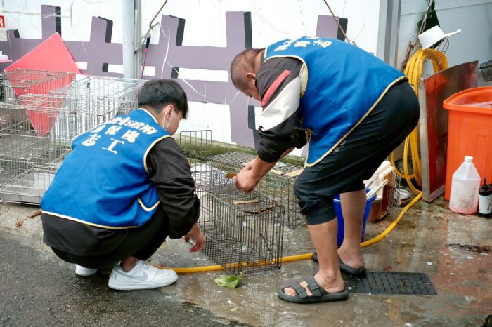 板橋動物之家勇奪「績優社會勞動機構」！十二年暖心合作，讓愛在動物與人之間接力延續
