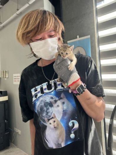 八里工廠上演溫馨救援！受困牆縫小貓成功脫困，老闆娘感動收編成家人