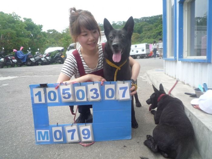 青年節最暖風景！新北90名青年志工走進動物之家，用陪伴點亮毛寶貝的新希望