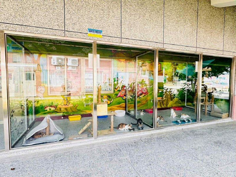 苗栗縣加強特定寵物業管理，攜手守護毛孩幸福與產業永續發展