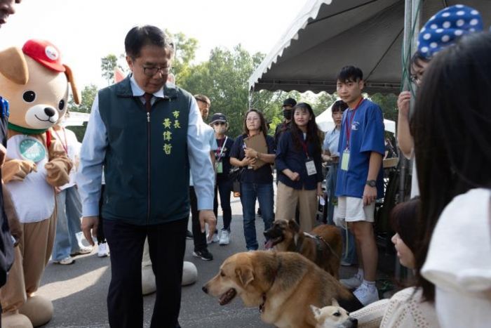 毛孩有愛不搗蛋！臺南府城Chill嗨嗨活動登場，打造人寵共享的幸福城市