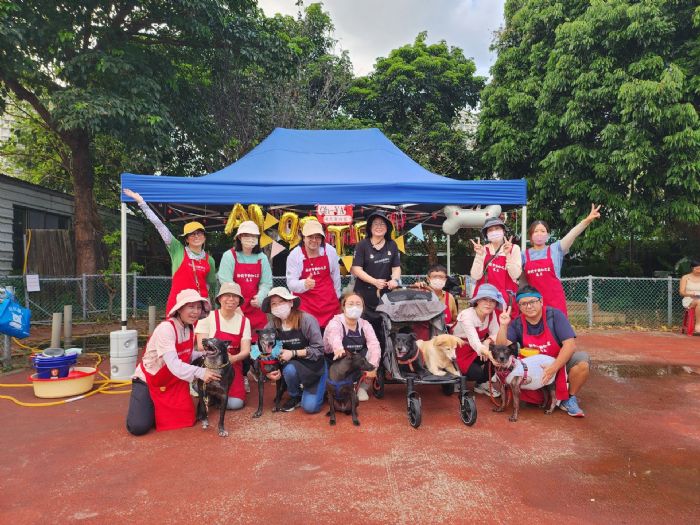 愛在板橋動物之家，微星「寵愛社」志工隊四年暖心陪伴，讓毛寶貝重拾信任與幸福