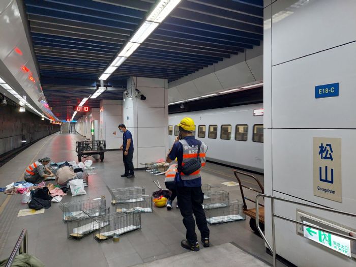 動保處暖心救援進行中！15歲貓「Maru」誤入松山車站軌道，北市團隊持續搜救不放棄