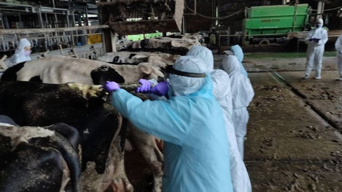 3月24日世界結核病日提醒：選對鮮乳更安心，守護人畜健康從日常做起