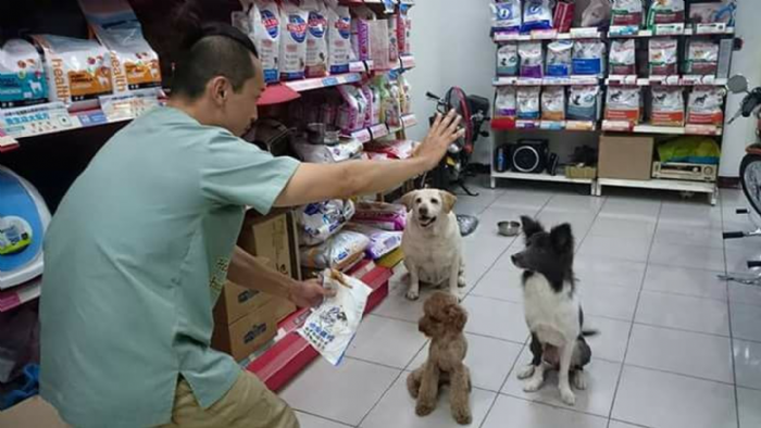 觀察毛孩便便也能守護健康！新北動保處提醒飼主從日常排便看出犬貓身體警訊