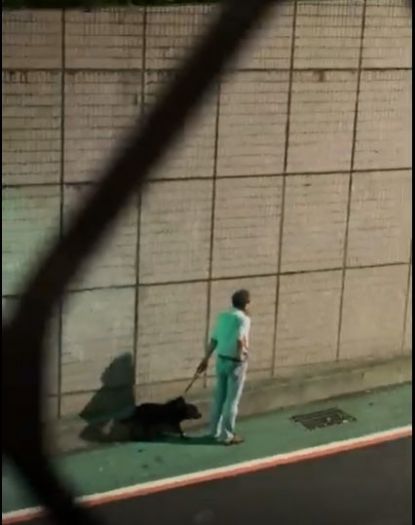 牽繩與口罩守護每一次散步：文山區犬隻攻擊事件，動保處啟動調查並再提醒飼主責任