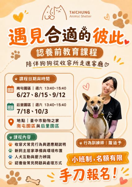 毛孩認養不衝動！臺中動保處推出「未來飼主養成班」陪您找到最適合的狗狗夥伴