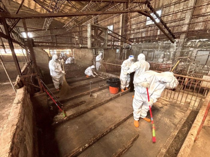 守護畜牧業，一起更安心！梧棲非洲豬瘟案例場第二階段清消完成，中央與市府攜手打造最強防疫線