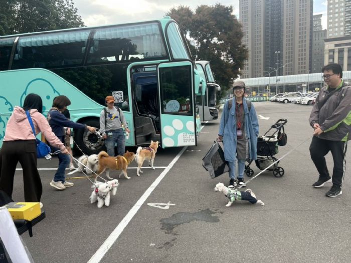淡水毛孩一日遊登場！新北寵物友善城市邁向千家里程碑