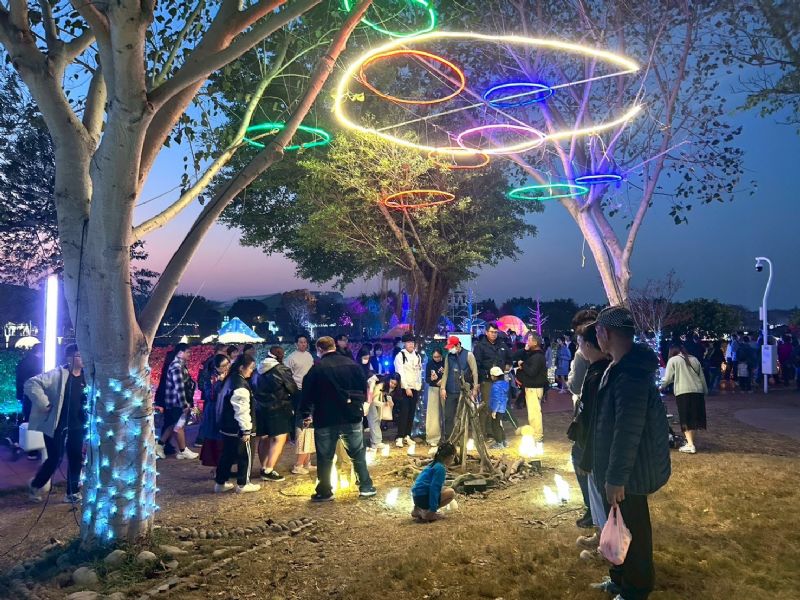 燈海有故事，城市有溫度，2026 中臺灣燈會「動物夢世界」，用光點亮人與動物的幸福想像