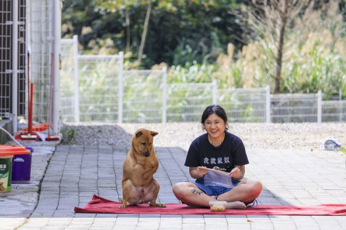 新北瑞芳動物之家「蛋黃」尋家中：勇敢走過傷痛，等待一份不離不棄的愛