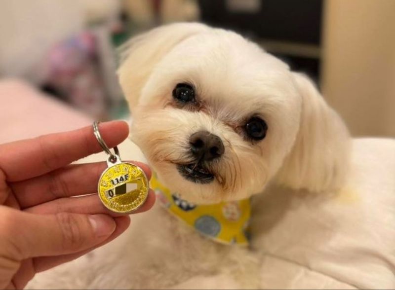 12/15世界強化免疫日暖心提醒：三個小習慣，替毛寶貝存下健康一整年