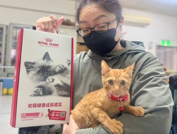 雨中驚魂變幸福結局！新店小橘貓落水獲救，終於找到溫暖的家