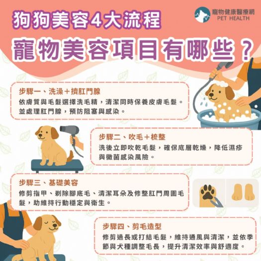 不只是洗澡剪毛！揭開狗狗美容的專業祕密，打造健康亮麗的毛孩日常