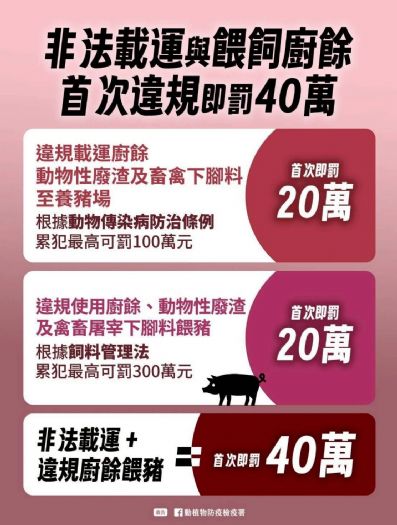 新春安心守護｜拒帶肉品入境、廚餘不餵豬，新北強化防疫一起把「豬」事顧好