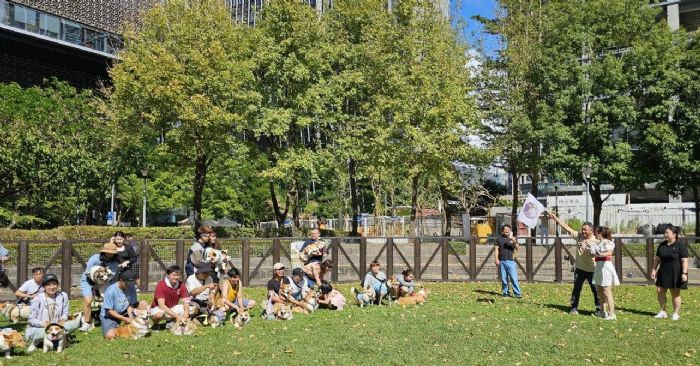 短腿萌力全開！「2025臺北狗狗運動嘉年華－柯基PK大賽」熱鬧登場，毛孩運動、飼主學習雙雙升級