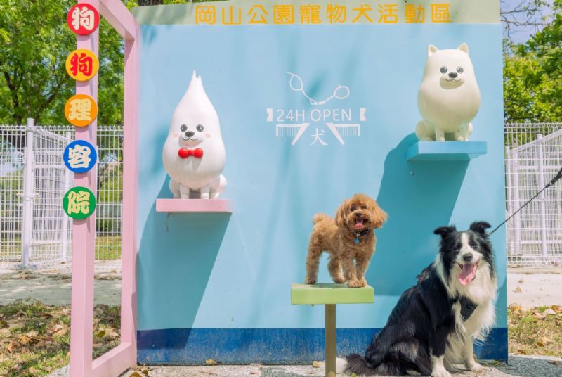 奔跑吧毛小孩！高雄打造人犬共融新日常，寵物犬活動區像城市裡的小花綻放