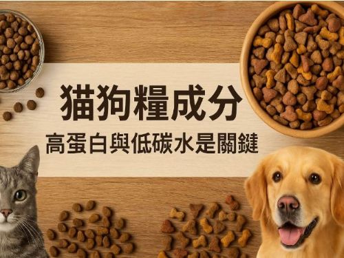 貓狗糧成分與餐量完整指南｜營養均衡、健康餵食全攻略