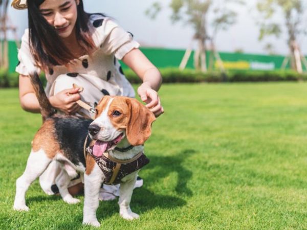 【公告】毛孩旅館全面升級，讓住宿更舒適