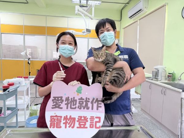 屏東縣家貓登記絕育送禮券 5月1日開跑