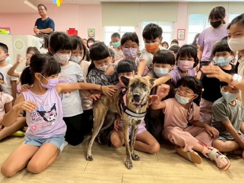 屏縣府推動保生命教育，陪伴犬貓走入校園