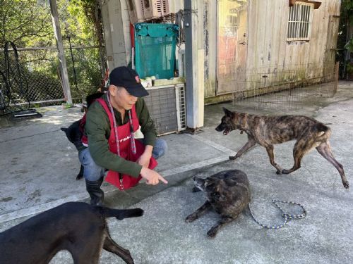 新北推動認養新政策，六大好禮與AI媒合助毛寶貝找到溫暖的家